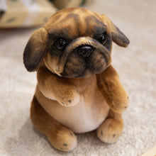 Load image into Gallery viewer, Realistic Lifelike English Bulldog Puppies Stuffed Animal Plush Toys-Stuffed Animal-20cm Pug Brown-10