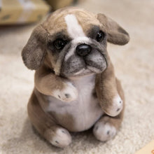 Load image into Gallery viewer, Realistic Lifelike English Bulldog Puppies Stuffed Animal Plush Toys-Stuffed Animal-20cm Pug Khaki-13
