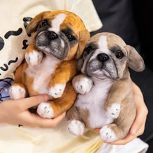 Load image into Gallery viewer, Realistic Lifelike English Bulldog Puppies Stuffed Animal Plush Toys-Stuffed Animal-1