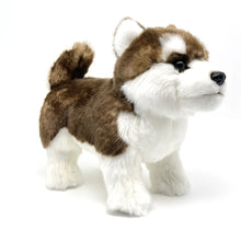 Load image into Gallery viewer, Realistic Lifelike Sable / Red and White Alaskan Malamute Stuffed Animal Plush Toy-2