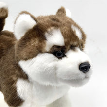 Load image into Gallery viewer, Realistic Lifelike Sable / Red and White Alaskan Malamute Stuffed Animal Plush Toy-5