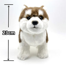 Load image into Gallery viewer, Realistic Lifelike Sable / Red and White Alaskan Malamute Stuffed Animal Plush Toy-with opp bag-China Mainland-7