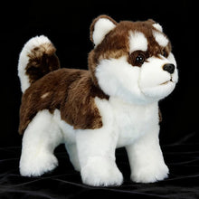 Load image into Gallery viewer, Realistic Lifelike Sable / Red and White Alaskan Malamute Stuffed Animal Plush Toy-1