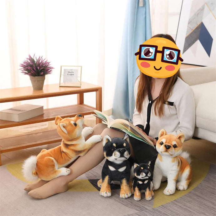 Image of a girl sitting with four Shiba Inu stuffed animal plush toys in four different sizes and reading a magazine