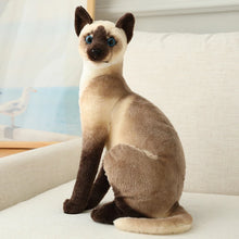 Load image into Gallery viewer, Realistic Lifelike Siamese Cat Stuffed Animal Plush Toys-Cats-Stuffed Animal-5