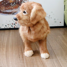Load image into Gallery viewer, Realistic Lifelike Standing Golden Retriever Stuffed Animal with Real Fur-Stuffed Animals-Car Accessories, Golden Retriever, Home Decor, Stuffed Animal-7