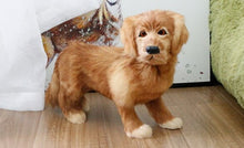 Load image into Gallery viewer, Realistic Lifelike Standing Golden Retriever Stuffed Animal with Real Fur-Stuffed Animals-Car Accessories, Golden Retriever, Home Decor, Stuffed Animal-8
