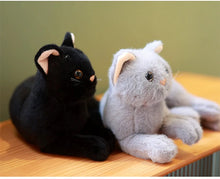 Load image into Gallery viewer, Realistic Loaf Stretch Grey Cat Stuffed Animal Plush Toy-11