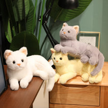 Load image into Gallery viewer, Realistic Loaf Stretch Grey Cat Stuffed Animal Plush Toy-4