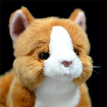Load image into Gallery viewer, Realistic Orange and White Cat Stuffed Animal Plush Toy - Soft Fur Lifelike Detailing-Stuffed Animals-Cat Memorial Gifts,Cats,Orange and White Cat,Stuffed Animal-2