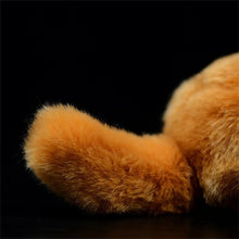 Load image into Gallery viewer, Realistic Orange and White Cat Stuffed Animal Plush Toy - Soft Fur Lifelike Detailing-Stuffed Animals-Cat Memorial Gifts,Cats,Orange and White Cat,Stuffed Animal-7