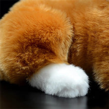 Load image into Gallery viewer, Realistic Orange and White Cat Stuffed Animal Plush Toy - Soft Fur Lifelike Detailing-Stuffed Animals-Cat Memorial Gifts,Cats,Orange and White Cat,Stuffed Animal-6