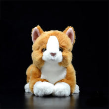Load image into Gallery viewer, Realistic Orange and White Cat Stuffed Animal Plush Toy - Soft Fur Lifelike Detailing-Stuffed Animals-Cat Memorial Gifts,Cats,Orange and White Cat,Stuffed Animal-4