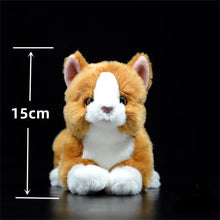 Load image into Gallery viewer, Realistic Orange and White Cat Stuffed Animal Plush Toy - Soft Fur Lifelike Detailing-Stuffed Animals-Cat Memorial Gifts,Cats,Orange and White Cat,Stuffed Animal-10