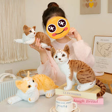 Load image into Gallery viewer, Realistic Orange Tabby and White Cat Plush Toy - Lifelike Sitting Pose-Tabby Cat-5
