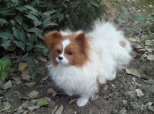 Papillon teddy puppy with butterfly, beautiful toy spaniel stuffed