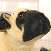 Load image into Gallery viewer, Realistic Pug Stuffed Animal - Sitting Fawn Pug Plush Toy-2