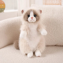 Load image into Gallery viewer, Realistic Ragdoll Cat Plush Toy - Fluffy Sitting Cat Stuffed Animal-14