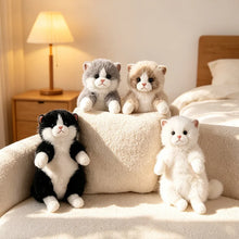 Load image into Gallery viewer, Realistic Ragdoll Cat Plush Toy - Fluffy Sitting Cat Stuffed Animal-17