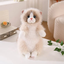 Load image into Gallery viewer, Realistic Ragdoll Cat Plush Toy - Fluffy Sitting Cat Stuffed Animal-light brown-China Mainland-40cm-1