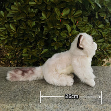Load image into Gallery viewer, 10-inch plush Ragdoll cat with soft cream fur, dark brown ears, and a fluffy tail, sitting on a stone ledge outdoors.