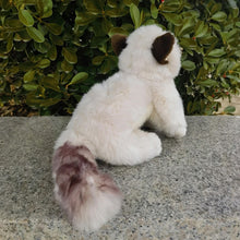 Load image into Gallery viewer, 10-inch plush Ragdoll cat with soft white fur, dark brown ears, and a fluffy grey-tipped tail sitting on stone.