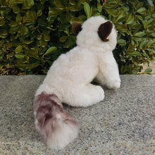 Load image into Gallery viewer, Lifelike 10-inch Ragdoll cat plush with soft cream fur, dark brown ears, and a fluffy grey-tipped tail sitting on stone.