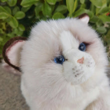 Load image into Gallery viewer, Lifelike 10-inch Ragdoll cat plush with soft white fur, striking blue eyes, brown ears, and delicate whiskers.