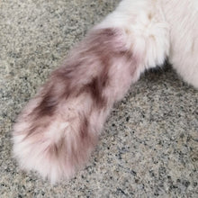 Load image into Gallery viewer, Fluffy, realistic Ragdoll cat plush tail with soft cream and brown fur detailing against a grey granite surface.