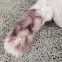 Load image into Gallery viewer, Soft, fluffy Ragdoll cat plush tail featuring realistic cream and brown color-blocked fur texture.
