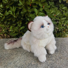 Load image into Gallery viewer, Lifelike 10-inch Ragdoll cat plush with soft white fur, blue eyes, and brown ear accents sitting on a stone ledge.