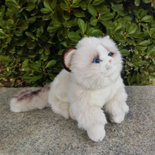 Load image into Gallery viewer, Lifelike 10-inch Ragdoll cat plush with soft white fur, blue eyes, and brown ear accents sitting on a stone ledge.