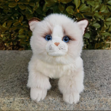 Load image into Gallery viewer, Lifelike 10-inch Ragdoll cat plush with soft white fur, striking blue eyes, brown ears, and a tiny pink nose.