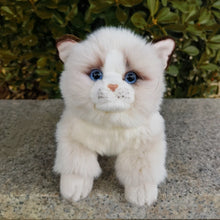 Load image into Gallery viewer, Lifelike 10-inch Ragdoll cat plush with soft cream fur, striking blue eyes, and delicate brown ear details.