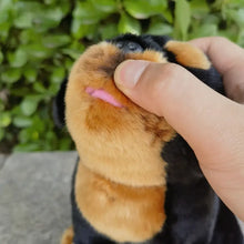 Load image into Gallery viewer, Realistic Rottweiler Stuffed Animals Plush Toys-Stuffed Animals-Dog Memorial Gifts,Rottweiler,Stuffed Animal-4