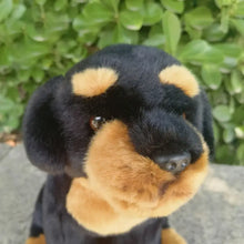 Load image into Gallery viewer, Realistic Rottweiler Stuffed Animals Plush Toys-Stuffed Animals-Dog Memorial Gifts,Rottweiler,Stuffed Animal-3