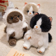 Load image into Gallery viewer, Realistic Seal Point Ragdoll Cat Plushie - Sitting with Blue Eyes-3