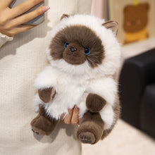 Load image into Gallery viewer, Realistic Seal Point Ragdoll Cat Plushie - Sitting with Blue Eyes-9