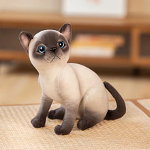 Load image into Gallery viewer, Realistic Seal Point Siamese Cat Stuffed Animal - Precious Wide-Eyed Sitting Kitty-D-China Mainland-25cm-1
