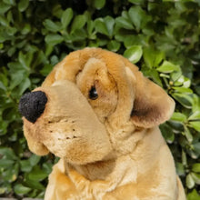 Load image into Gallery viewer, Realistic Shar Pei Stuffed Animals Plush Toys-Dog Memorial Gifts,Shar Pei,Stuffed Animal-3