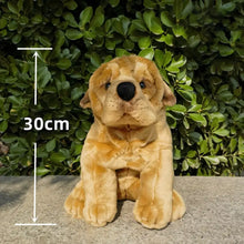 Load image into Gallery viewer, Realistic Shar Pei Stuffed Animals Plush Toys-Dog Memorial Gifts,Shar Pei,Stuffed Animal-6