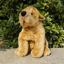 Load image into Gallery viewer, Realistic Shar Pei Stuffed Animals Plush Toys-Dog Memorial Gifts,Shar Pei,Stuffed Animal-Shar Pei-2