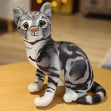 Load image into Gallery viewer, Realistic Silver Tabby and White Cat Stuffed Animal - Adorable Lifelike Companions-Sitting grey-36cm-1