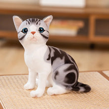 Load image into Gallery viewer, Realistic Silver Tabby and White Cat Stuffed Animal - Precious Wide-Eyed Sitting Kitty-17
