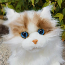 Load image into Gallery viewer, Realistic Sitting Blue Eyed Ragdoll Cat Stuffed Animal Plush Toy-Cats-Cat Memorial Gifts,Ragdoll Cat,Stuffed Animal-4