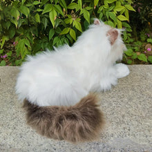 Load image into Gallery viewer, Realistic Sitting Blue Eyed Ragdoll Cat Stuffed Animal Plush Toy-Cats-Cat Memorial Gifts,Ragdoll Cat,Stuffed Animal-3