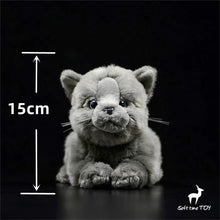Load image into Gallery viewer, Realistic Sitting British Shorthair Stuffed Animal Plush Toy-6