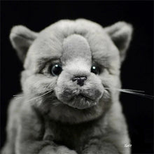 Load image into Gallery viewer, Realistic Sitting British Shorthair Stuffed Animal Plush Toy-1