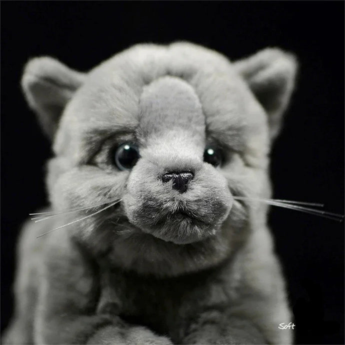Realistic Sitting British Shorthair Stuffed Animal Plush Toy-1