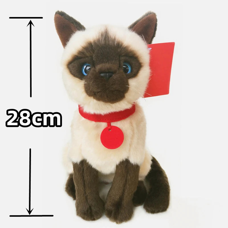 Realistic Sitting Red Collar Siamese Cat Plush Toy-H 28cm-CHINA-6